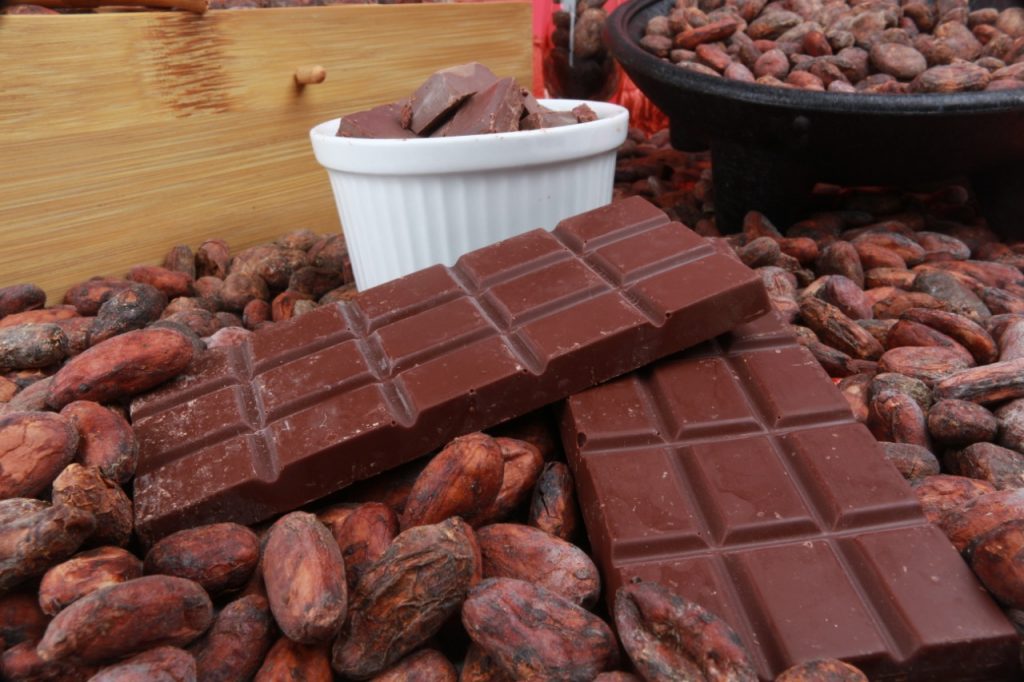 Cocoa Bean Exporter Ecuador - EXPOAGMARSA